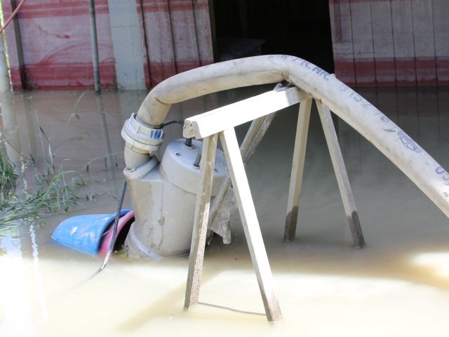 Bildgröße auf die Monitorauflösung (640x480 px) optimiert