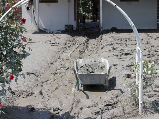 Bildgröße auf die Monitorauflösung (640x480 px) optimiert