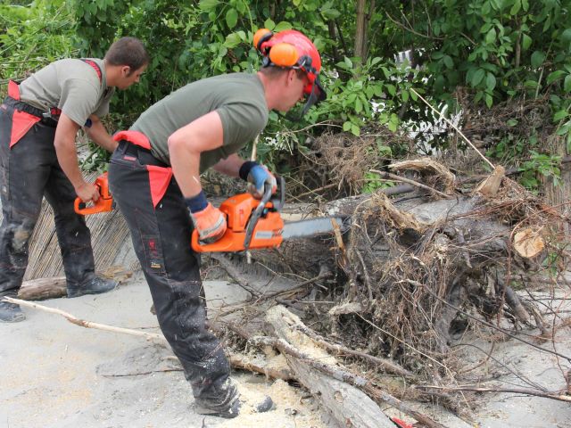 Bildgröße auf die Monitorauflösung (640x480 px) optimiert