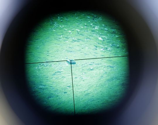 Bildgr&ouml;&szlig;e auf die Monitoraufl&ouml;sung (640x480 px) optimiert