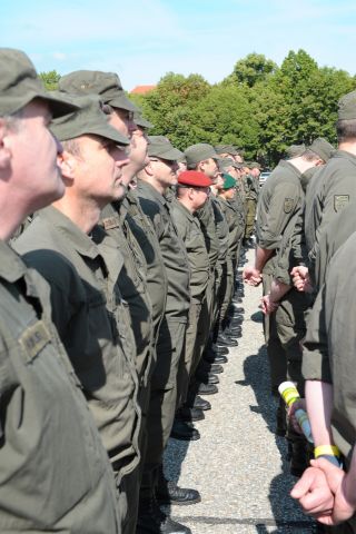 Bildgröße auf die Monitorauflösung (640x480 px) optimiert