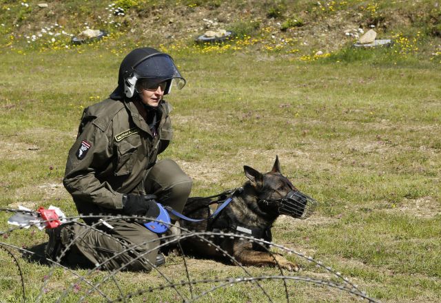 Bildgr&ouml;&szlig;e auf die Monitoraufl&ouml;sung (640x480 px) optimiert