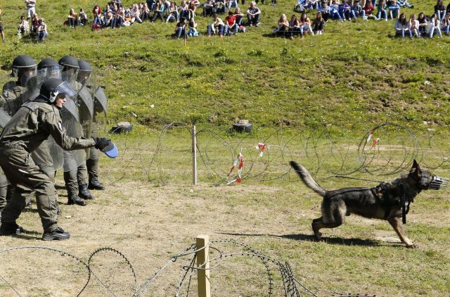 Bildgr&ouml;&szlig;e auf die Monitoraufl&ouml;sung (640x480 px) optimiert