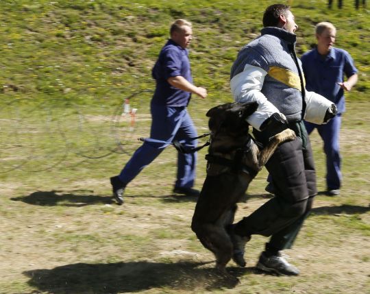 Bildgr&ouml;&szlig;e auf die Monitoraufl&ouml;sung (640x480 px) optimiert