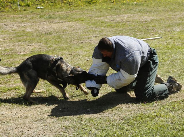 Bildgr&ouml;&szlig;e auf die Monitoraufl&ouml;sung (640x480 px) optimiert