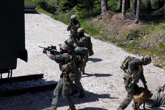 Bildgröße auf die Monitorauflösung (640x480 px) optimiert