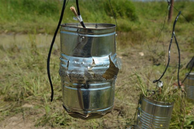 Bildgröße auf die Monitorauflösung (640x480 px) optimiert