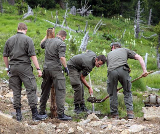 Bildgr&ouml;&szlig;e auf die Monitoraufl&ouml;sung (640x480 px) optimiert