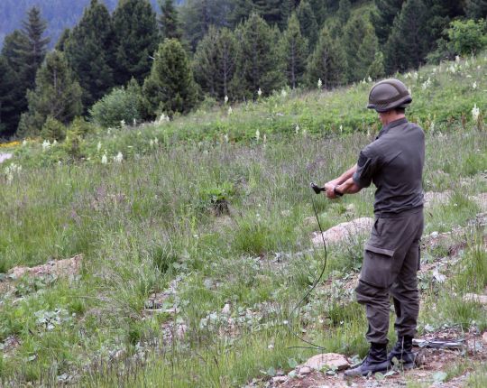 Bildgröße auf die Monitorauflösung (640x480 px) optimiert