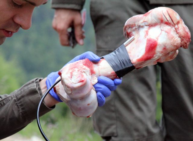 Bildgr&ouml;&szlig;e auf die Monitoraufl&ouml;sung (640x480 px) optimiert