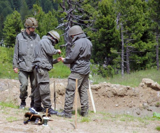 Bildgr&ouml;&szlig;e auf die Monitoraufl&ouml;sung (640x480 px) optimiert