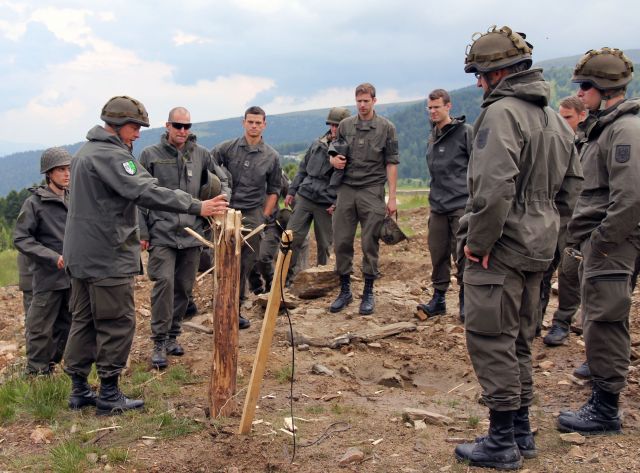 Bildgr&ouml;&szlig;e auf die Monitoraufl&ouml;sung (640x480 px) optimiert