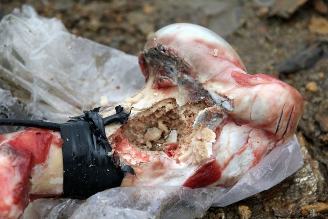 Bildgr&ouml;&szlig;e auf die Monitoraufl&ouml;sung (640x480 px) optimiert