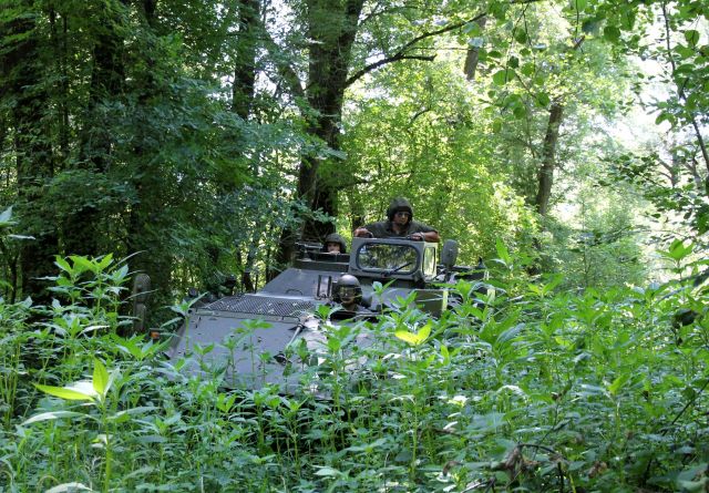 Bildgr&ouml;&szlig;e auf die Monitoraufl&ouml;sung (640x480 px) optimiert