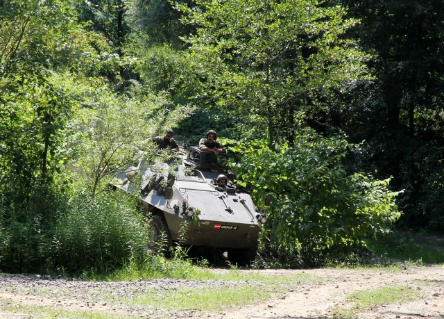 Bildgr&ouml;&szlig;e auf die Monitoraufl&ouml;sung (640x480 px) optimiert