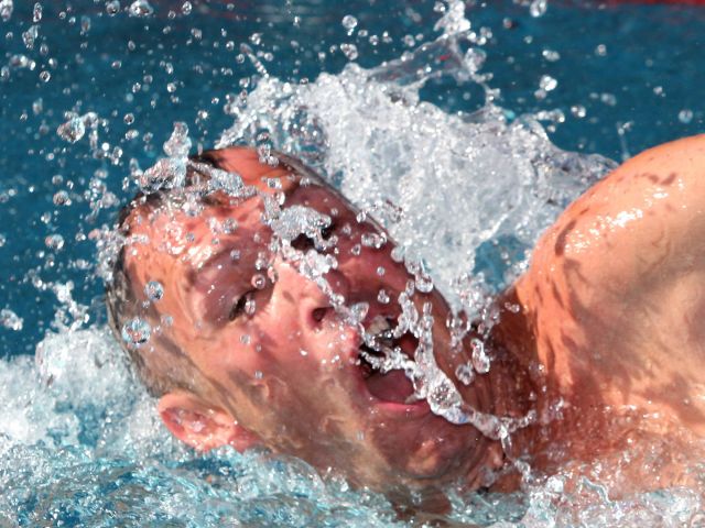 Bildgröße auf die Monitorauflösung (640x480 px) optimiert