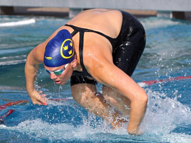 Bildgröße auf die Monitorauflösung (640x480 px) optimiert