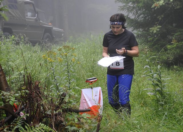 Bildgröße auf die Monitorauflösung (640x480 px) optimiert