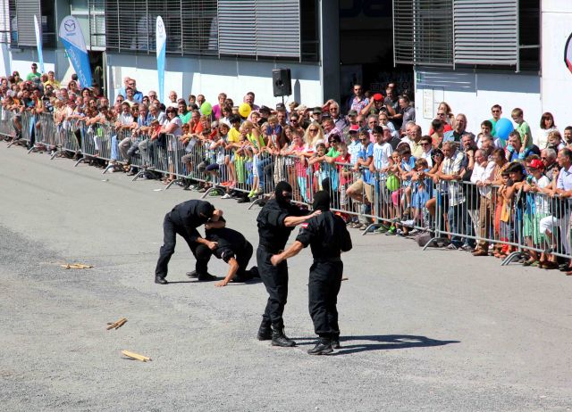 Bildgröße auf die Monitorauflösung (640x480 px) optimiert