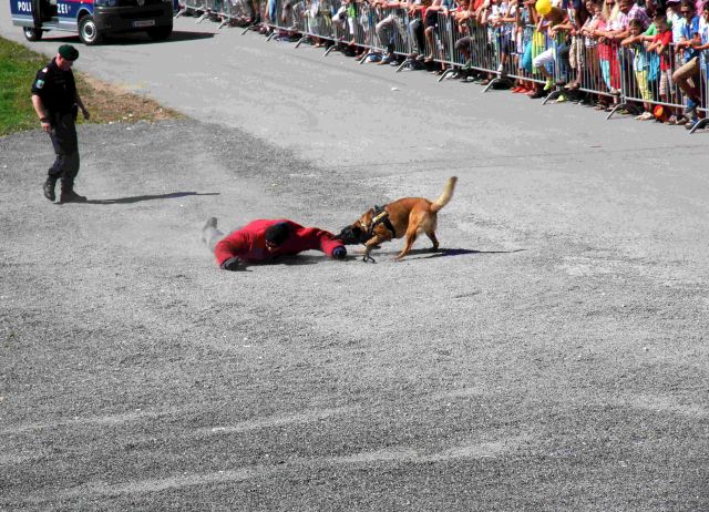 Bildgr&ouml;&szlig;e auf die Monitoraufl&ouml;sung (640x480 px) optimiert