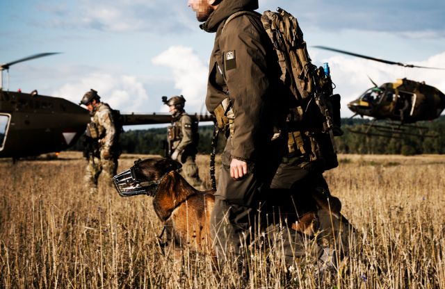 Bildgröße auf die Monitorauflösung (640x480 px) optimiert