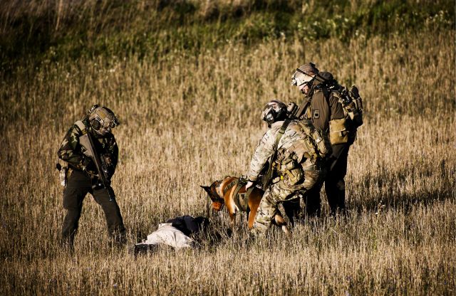 Bildgr&ouml;&szlig;e auf die Monitoraufl&ouml;sung (640x480 px) optimiert