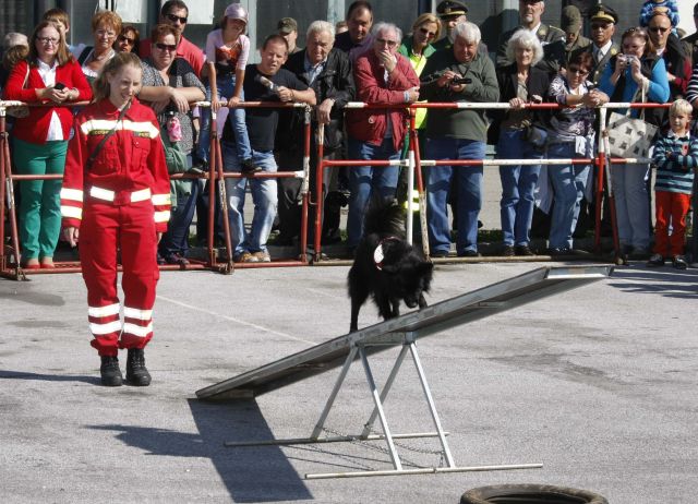 Bildgr&ouml;&szlig;e auf die Monitoraufl&ouml;sung (640x480 px) optimiert