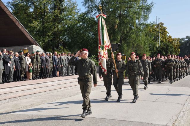 Bildgröße auf die Monitorauflösung (640x480 px) optimiert