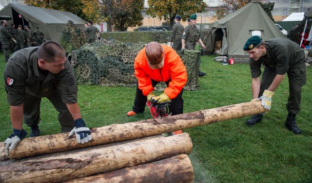 Bildgr&ouml;&szlig;e auf die Monitoraufl&ouml;sung (640x480 px) optimiert