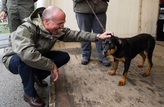 Bildgröße auf die Monitorauflösung (640x480 px) optimiert