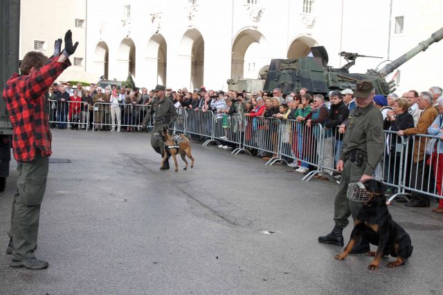 Bildgr&ouml;&szlig;e auf die Monitoraufl&ouml;sung (640x480 px) optimiert