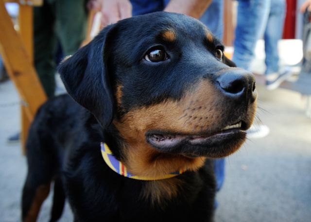 Bildgr&ouml;&szlig;e auf die Monitoraufl&ouml;sung (640x480 px) optimiert