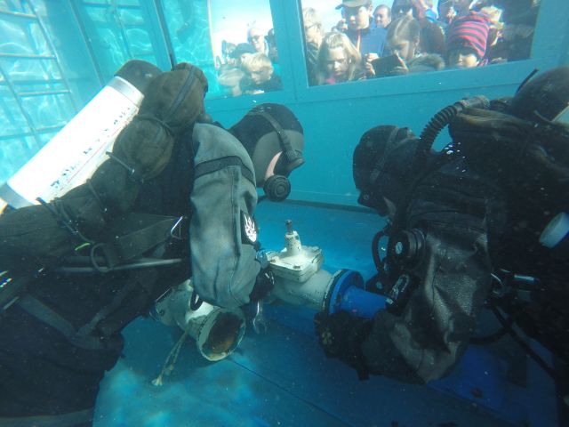 Bildgröße auf die Monitorauflösung (640x480 px) optimiert