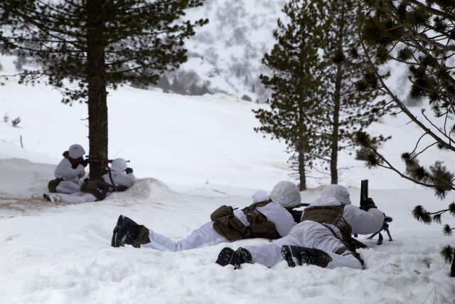 Bildgröße auf die Monitorauflösung (640x480 px) optimiert