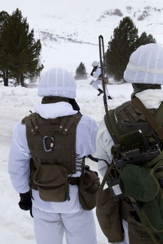 Bildgröße auf die Monitorauflösung (640x480 px) optimiert