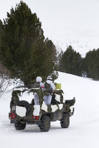 Bildgr&ouml;&szlig;e auf die Monitoraufl&ouml;sung (640x480 px) optimiert