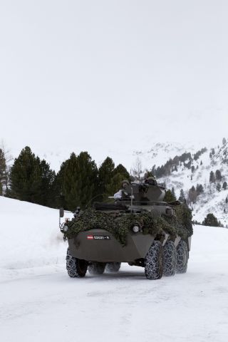 Bildgröße auf die Monitorauflösung (640x480 px) optimiert