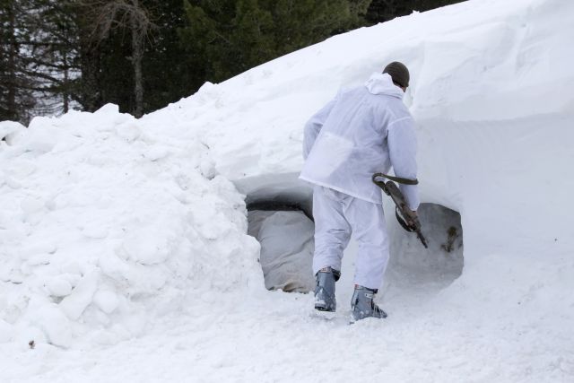 Bildgröße auf die Monitorauflösung (640x480 px) optimiert