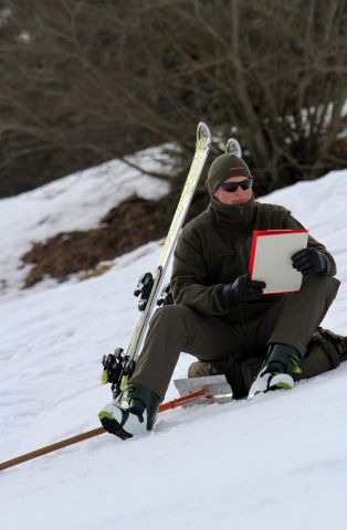 Bildgröße auf die Monitorauflösung (640x480 px) optimiert