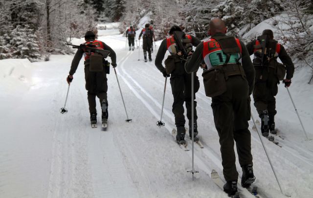 Bildgröße auf die Monitorauflösung (640x480 px) optimiert