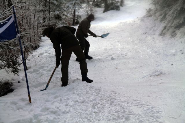 Bildgröße auf die Monitorauflösung (640x480 px) optimiert