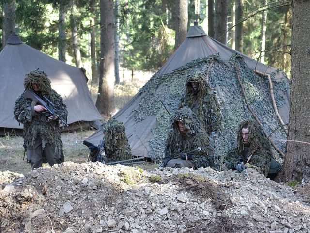 Bildgröße auf die Monitorauflösung (640x480 px) optimiert