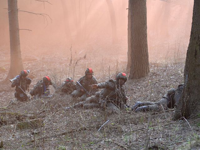 Bildgröße auf die Monitorauflösung (640x480 px) optimiert