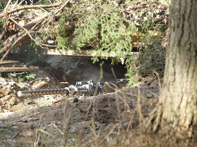 Bildgröße auf die Monitorauflösung (640x480 px) optimiert