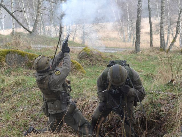 Bildgröße auf die Monitorauflösung (640x480 px) optimiert