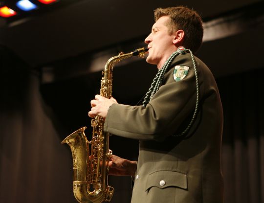 Bildgröße auf die Monitorauflösung (640x480 px) optimiert