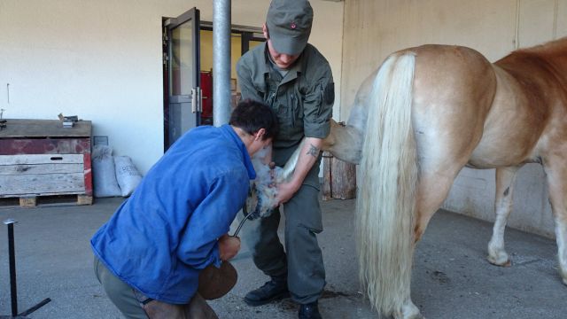 Bildgröße auf die Monitorauflösung (640x480 px) optimiert