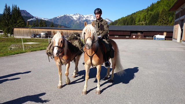 Bildgröße auf die Monitorauflösung (640x480 px) optimiert