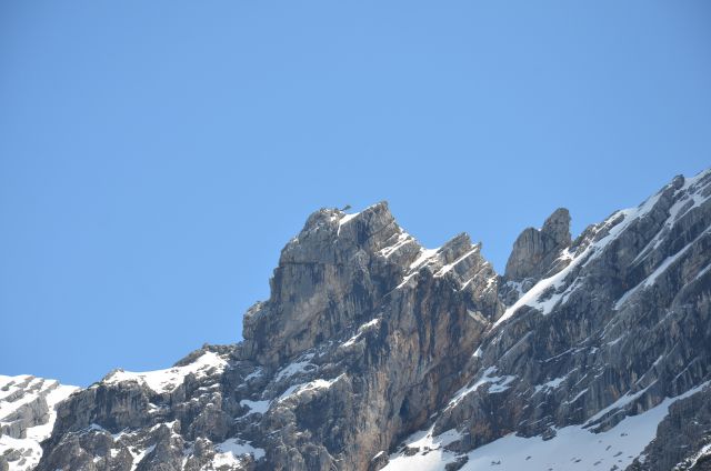 Bildgröße auf die Monitorauflösung (640x480 px) optimiert