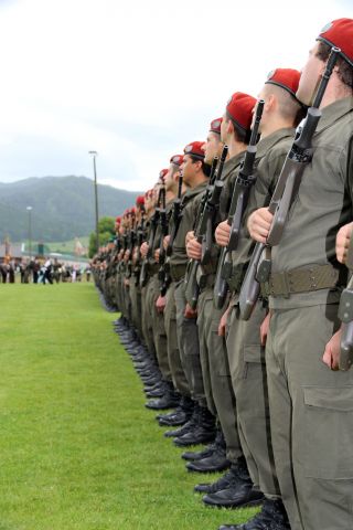 Bildgr&ouml;&szlig;e auf die Monitoraufl&ouml;sung (640x480 px) optimiert